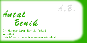 antal benik business card